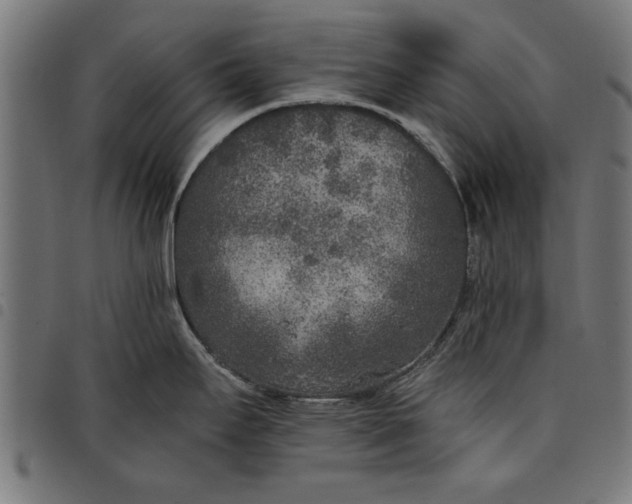 X0000097811295200803281049