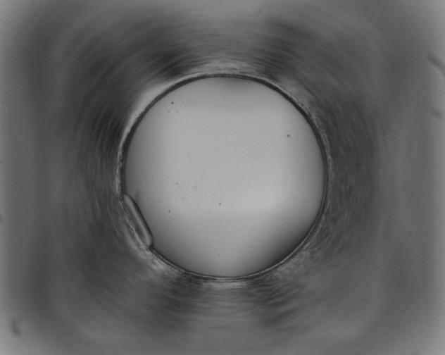 X0000097811296200803281049