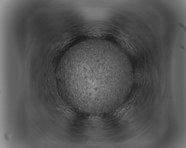 X0000097811297200803281048