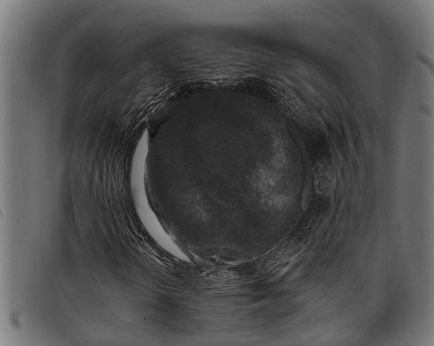 X0000097811298200803281049