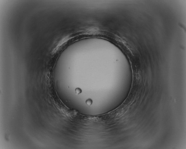 X0000097811304200803281049