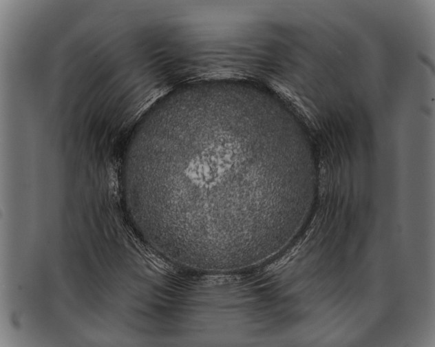 X0000097811305200803281049