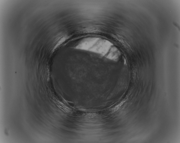 X0000097811306200803281049