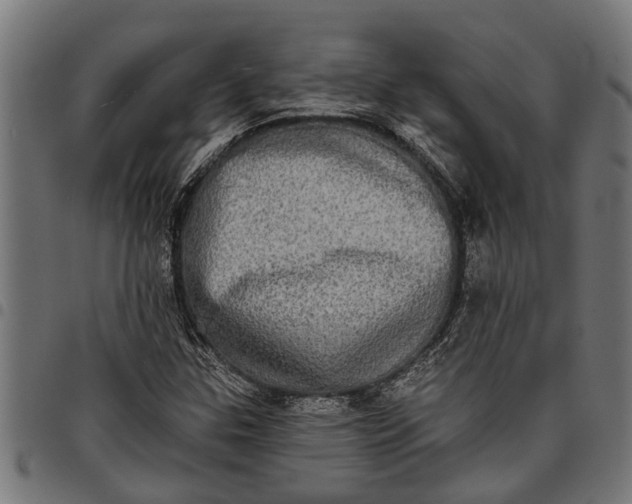 X0000097811307200803281049