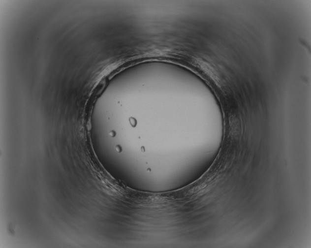 X0000097811308200803281049