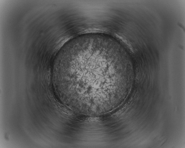 X0000097811313200803281049