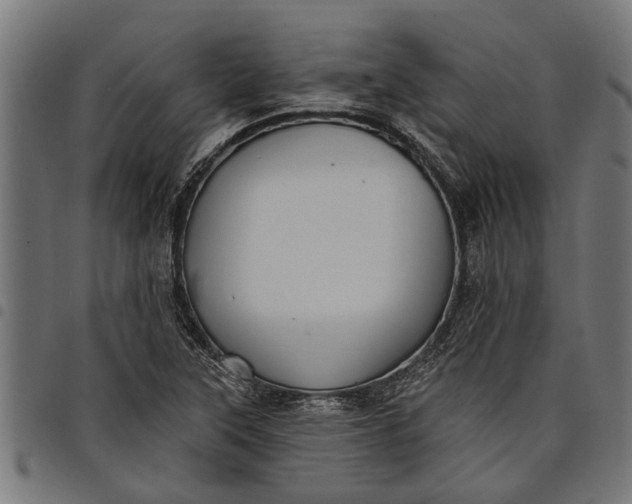 X0000097811315200803281049