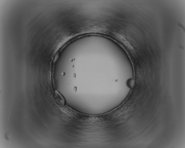 X0000097811316200803281049