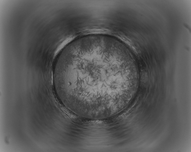 X0000097811317200803281049