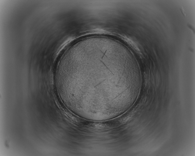 X0000097811318200803281049