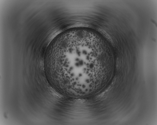 X0000097811321200803281049