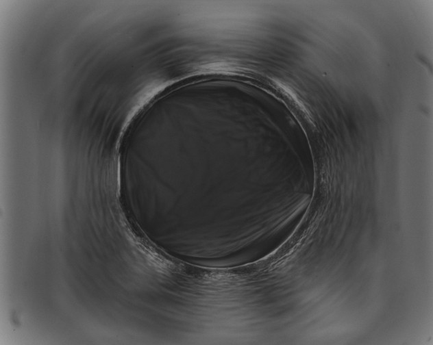 X0000097811323200803281049