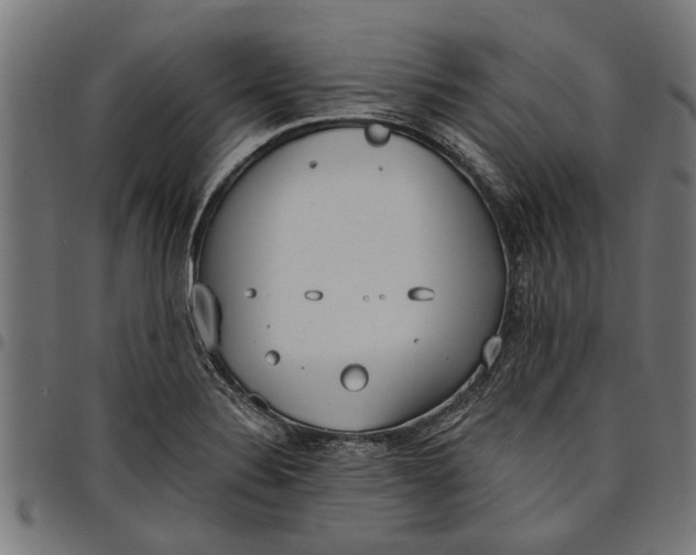 X0000097811324200803281049