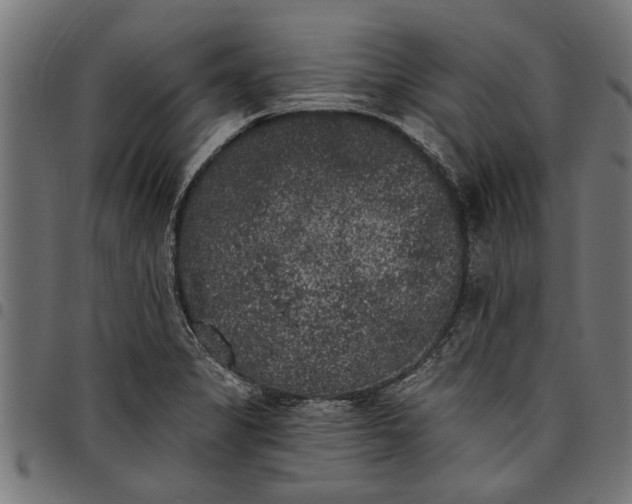 X0000097811325200803281049