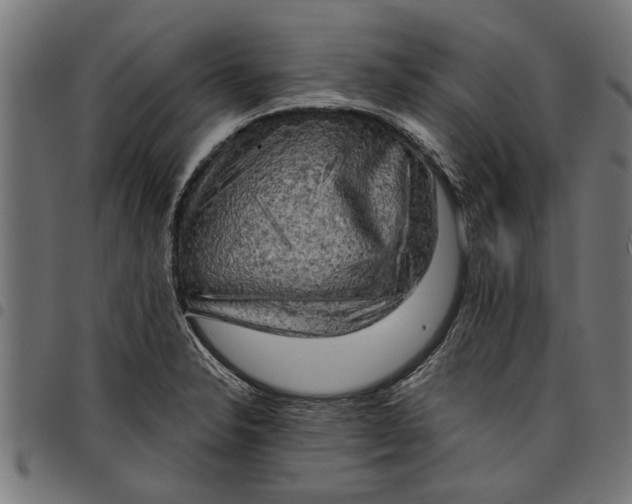 X0000097811326200803281049