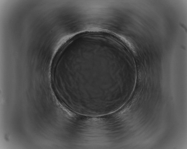 X0000097811327200803281049