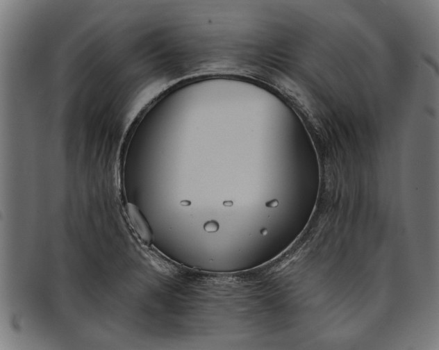 X0000097811328200803281049