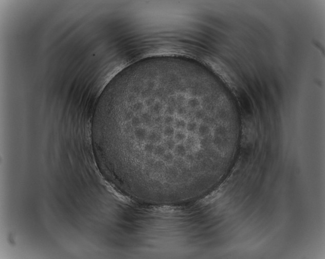 X0000097811329200803281049