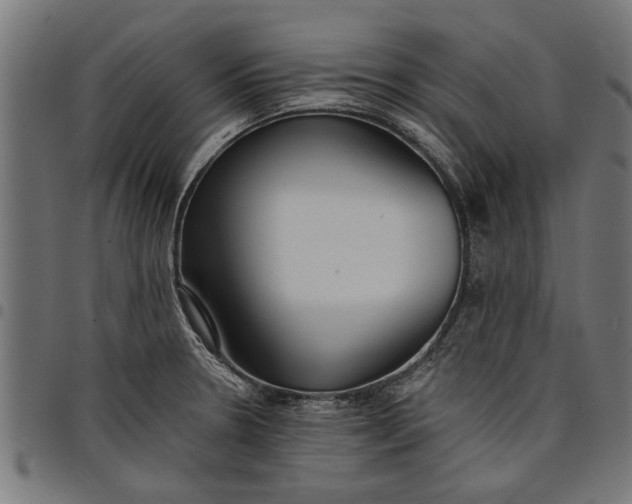 X0000097811330200803281049