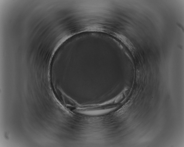 X0000097811331200803281049