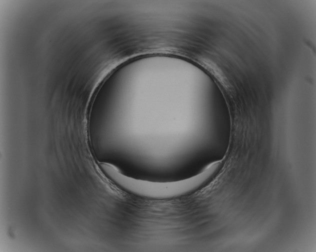 X0000097811332200803281049