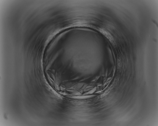 X0000097811334200803281049