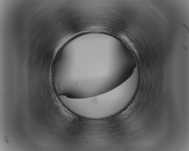 X0000097811336200803281049