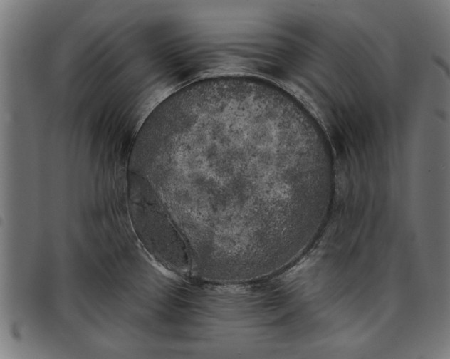 X0000097811337200803281049