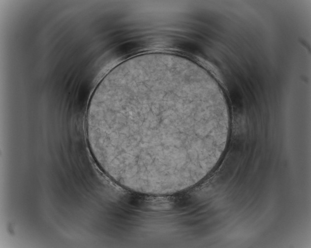 X0000097811338200803281049