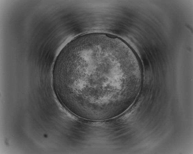 X0000097811341200803281049