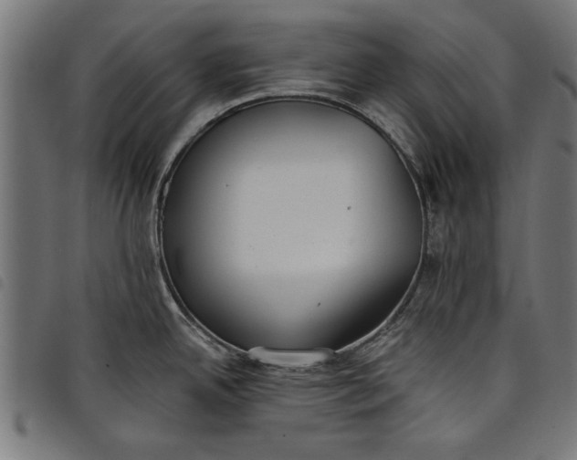 X0000097811342200803281049