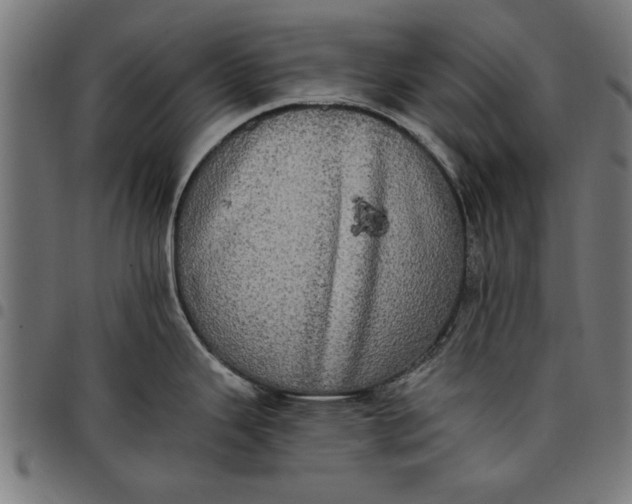 X0000097811343200803281049