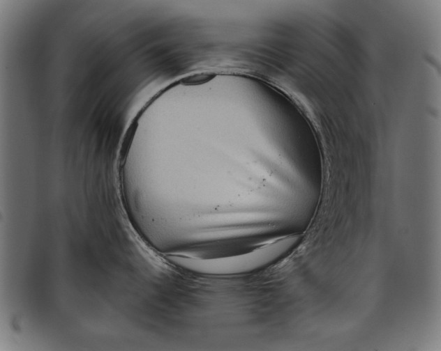 X0000097811344200803281049