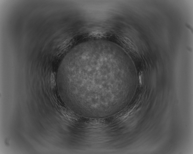 X0000097811347200803281048