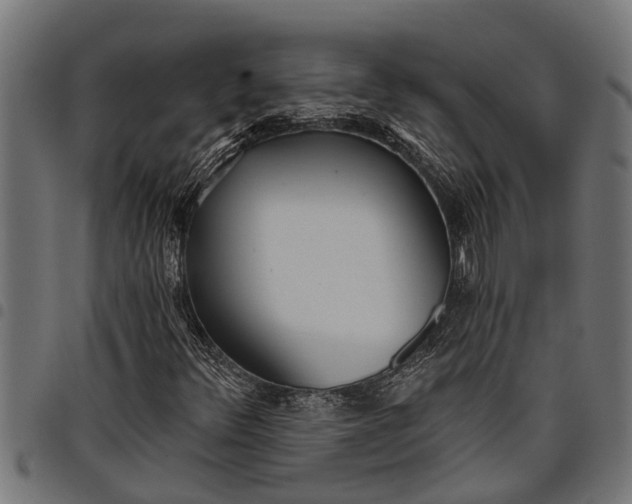 X0000097811348200803281048