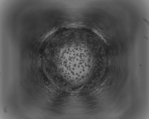 X0000097811350200803281048