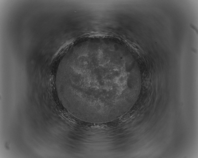 X0000097811351200803281048