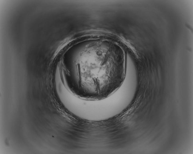 X0000097811352200803281048