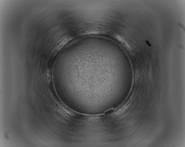 X0000097811353200803281048