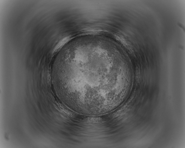 X0000097811354200803281048