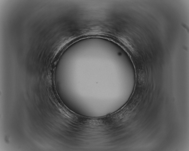 X0000097811356200803281048