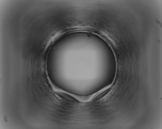 X0000097811357200803281048