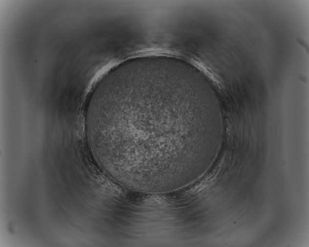 X0000097811358200803281048