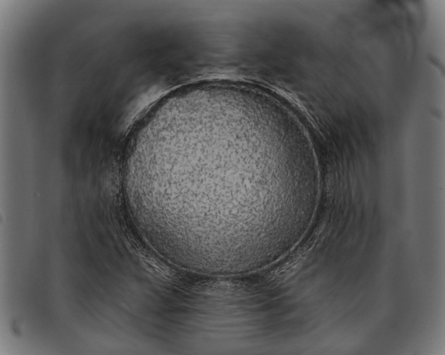 X0000097811359200803281048