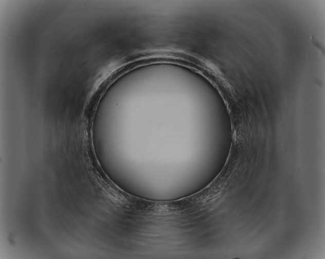 X0000097811360200803281048