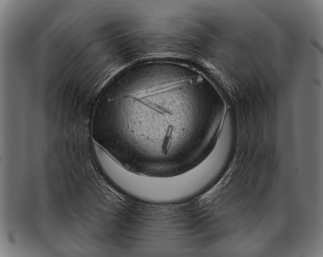 X0000097811361200803281048