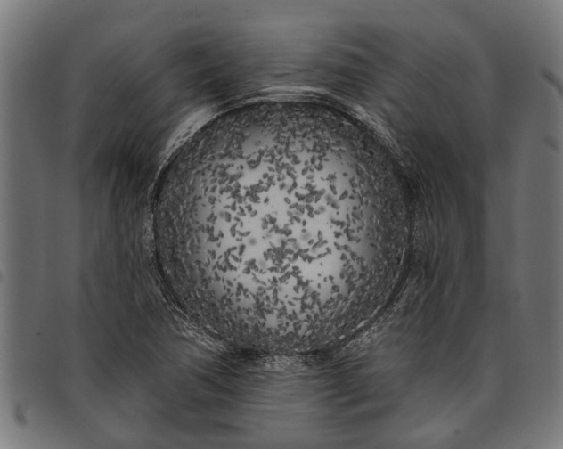 X0000097811362200803281048