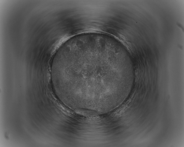 X0000097811363200803281048