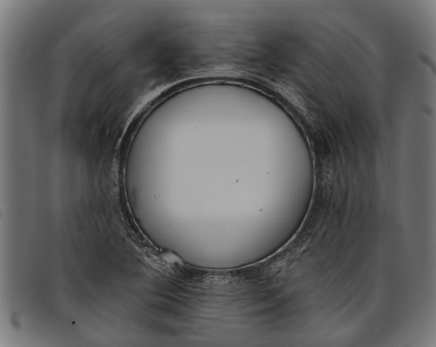 X0000097811364200803281048