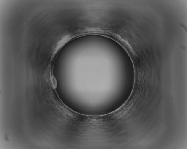 X0000097811365200803281048